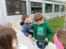 IMG_20250424_135841