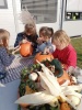 IMG_20241024_135847