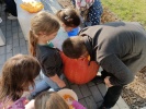 IMG_20241024_140014