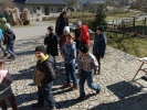 IMG_20250320_132652