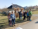 IMG_20250320_135609