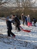 IMG_20250217_134512