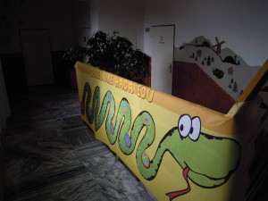 DSCN5633