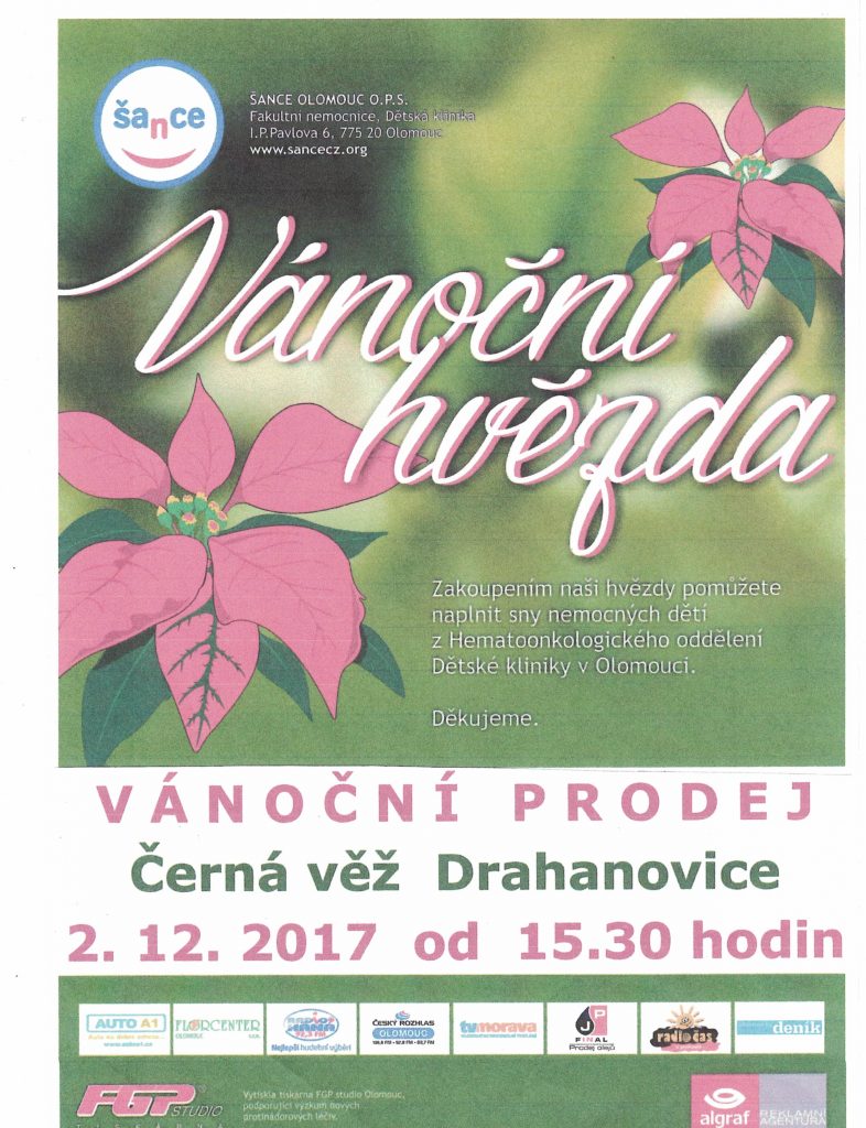 vánoční výstava23112017